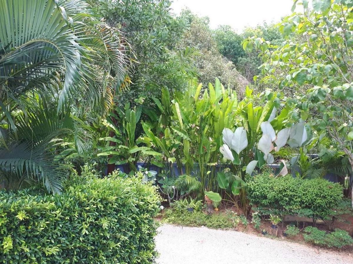 O2Villa Aonang Resort Krabi town Dış mekan fotoğraf