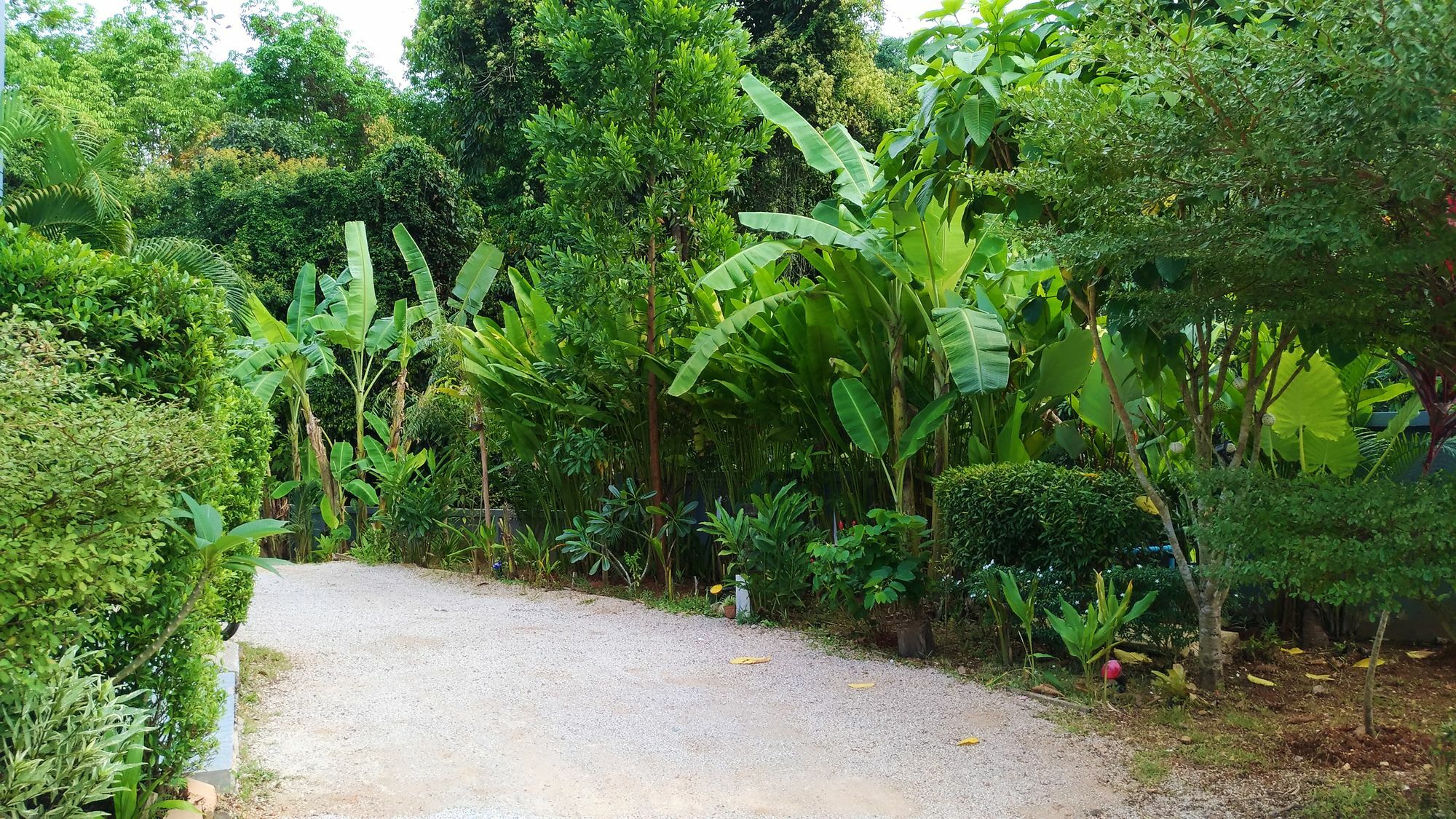 O2Villa Aonang Resort Krabi town Dış mekan fotoğraf